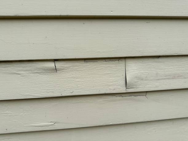 Reliable Leonville, LA Siding Installation & Repair Solutions